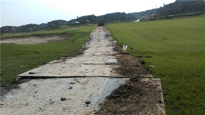 1503393037746558.jpg 1-16122213094G53.jpg